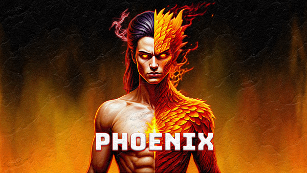 Phoenix Tiger Store